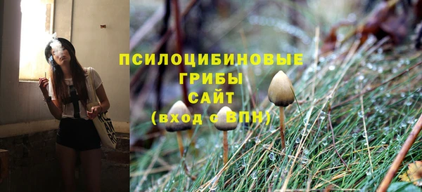 МДПВ Абинск